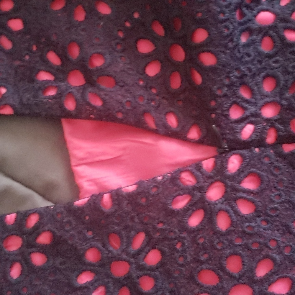 Altard State sleeveless lace dress pink and navy size medium with zip up back - Picture 6 of 6